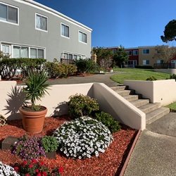 townhouses with flowers in the forground